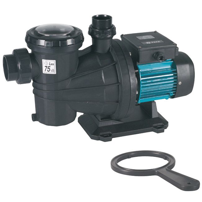 Pompe de filtration Silver