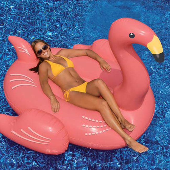 Flamand rose géant